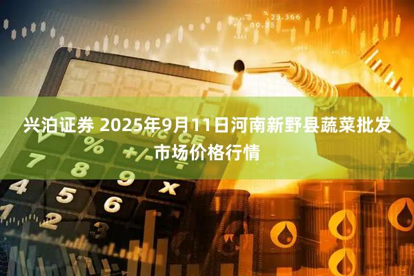 兴泊证券 2025年9月11日河南新野县蔬菜批发市场价格行情