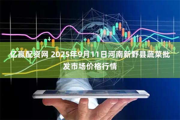 亿赢配资网 2025年9月11日河南新野县蔬菜批发市场价格行情