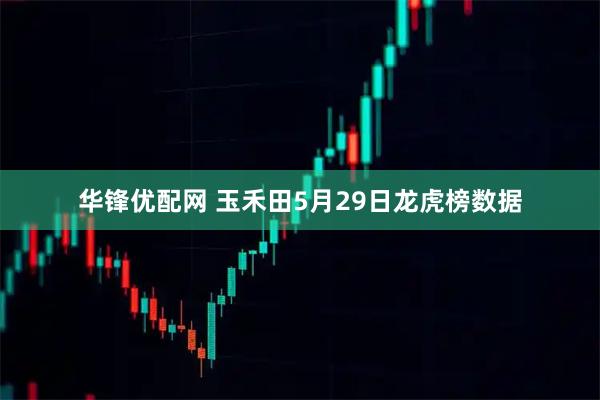 华锋优配网 玉禾田5月29日龙虎榜数据