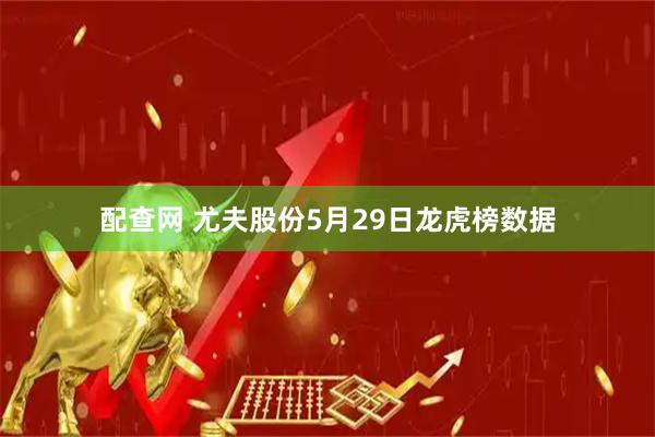 配查网 尤夫股份5月29日龙虎榜数据