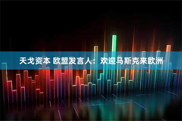 天戈资本 欧盟发言人：欢迎马斯克来欧洲