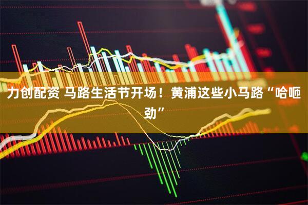 力创配资 马路生活节开场！黄浦这些小马路“哈咂劲”