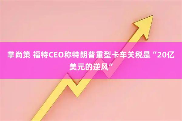 掌尚策 福特CEO称特朗普重型卡车关税是“20亿美元的逆风”