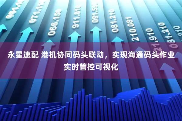 永星速配 港机协同码头联动，实现海通码头作业实时管控可视化