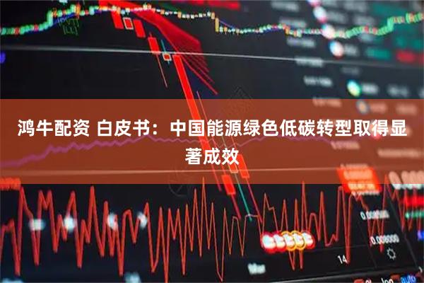 鸿牛配资 白皮书：中国能源绿色低碳转型取得显著成效